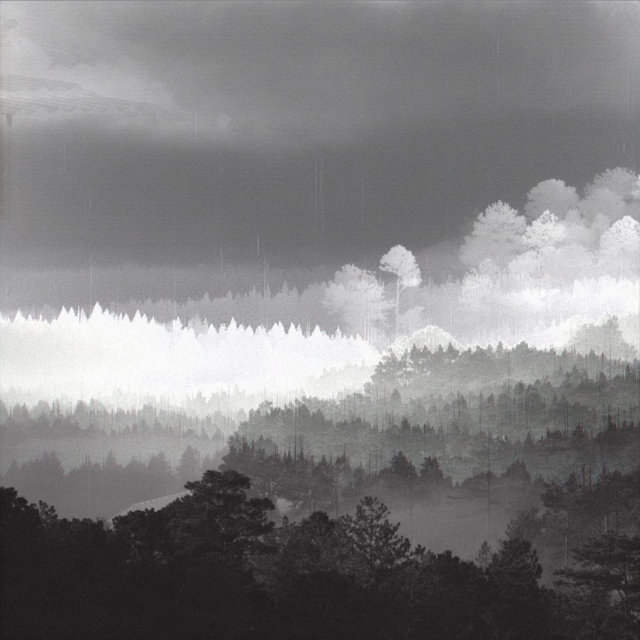 Das Wort "Oida", mit bunter Kreide auf den Gehsteig gekritzelt