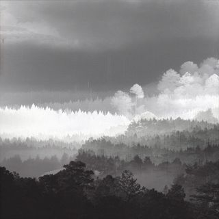 Das Wort "Oida", mit bunter Kreide auf den Gehsteig gekritzelt