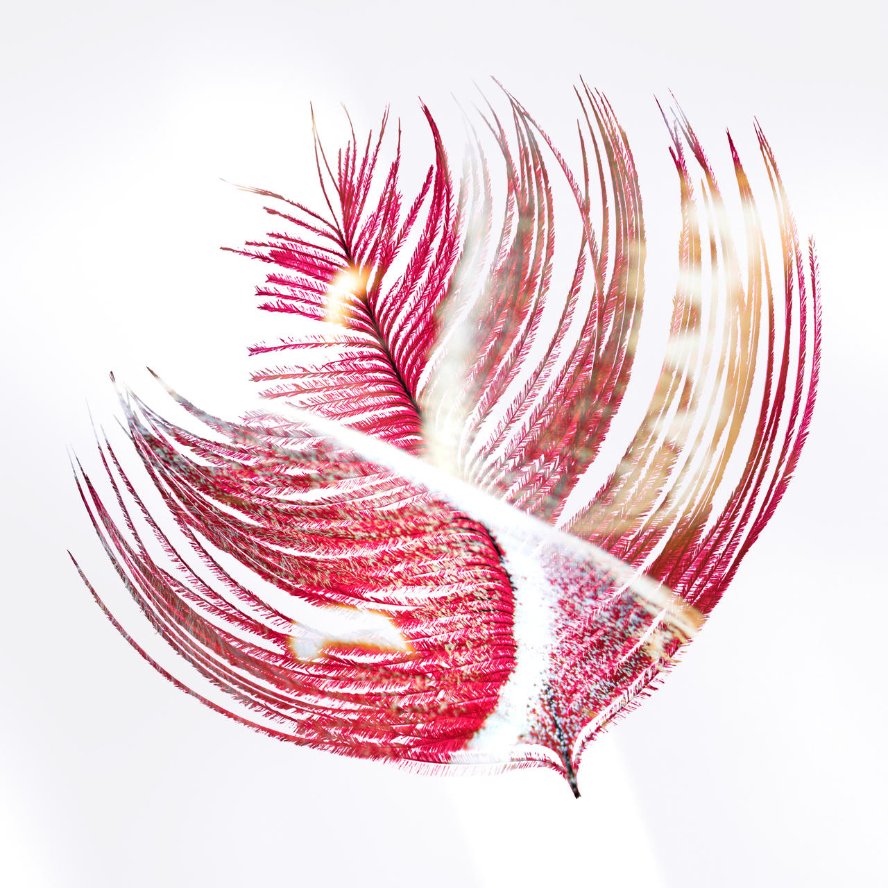 Red leaf