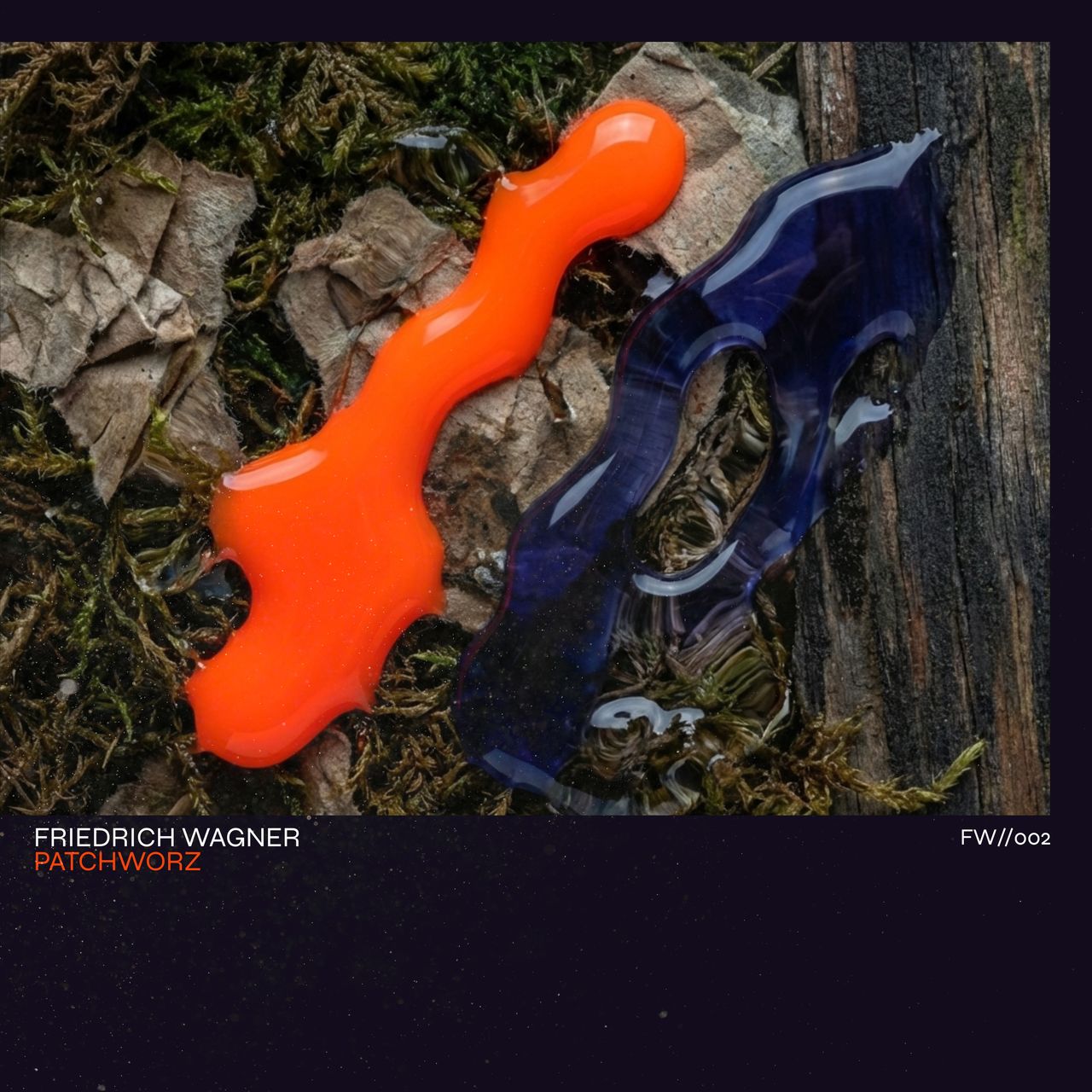 Abstract orange and blue fluid shapes lie on a natural background of moss and wood. The cover artwork displays the text "FRIEDRICH WAGNER" and the title "PATCHWORZ" at the bottom